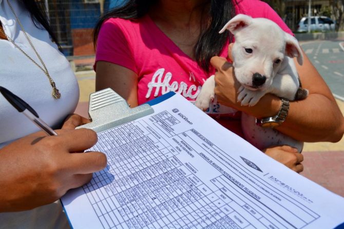 Feria Canina y Felina: en la Soledad Saludable los animales también cuentan