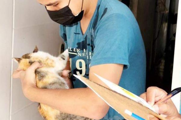 Conozca los puntos de vacunación para mascotas hoy en Soledad