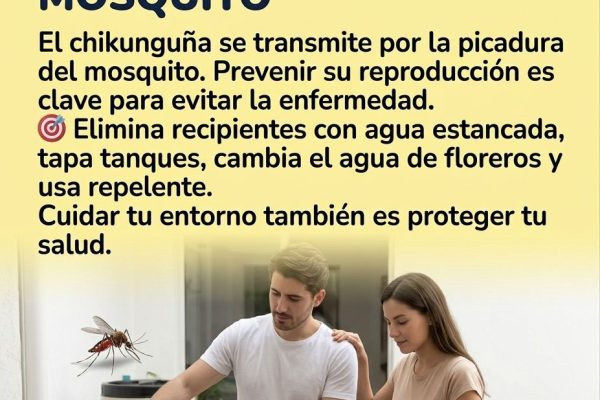 Sin criaderos, no hay mosquito: ¡Protege tu hogar y tu salud!