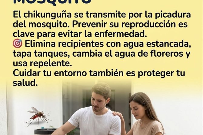 Sin criaderos, no hay mosquito: ¡Protege tu hogar y tu salud!