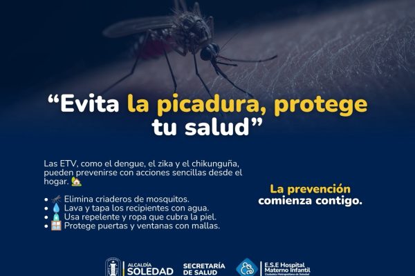 Evitar una picadura también es proteger tu salud